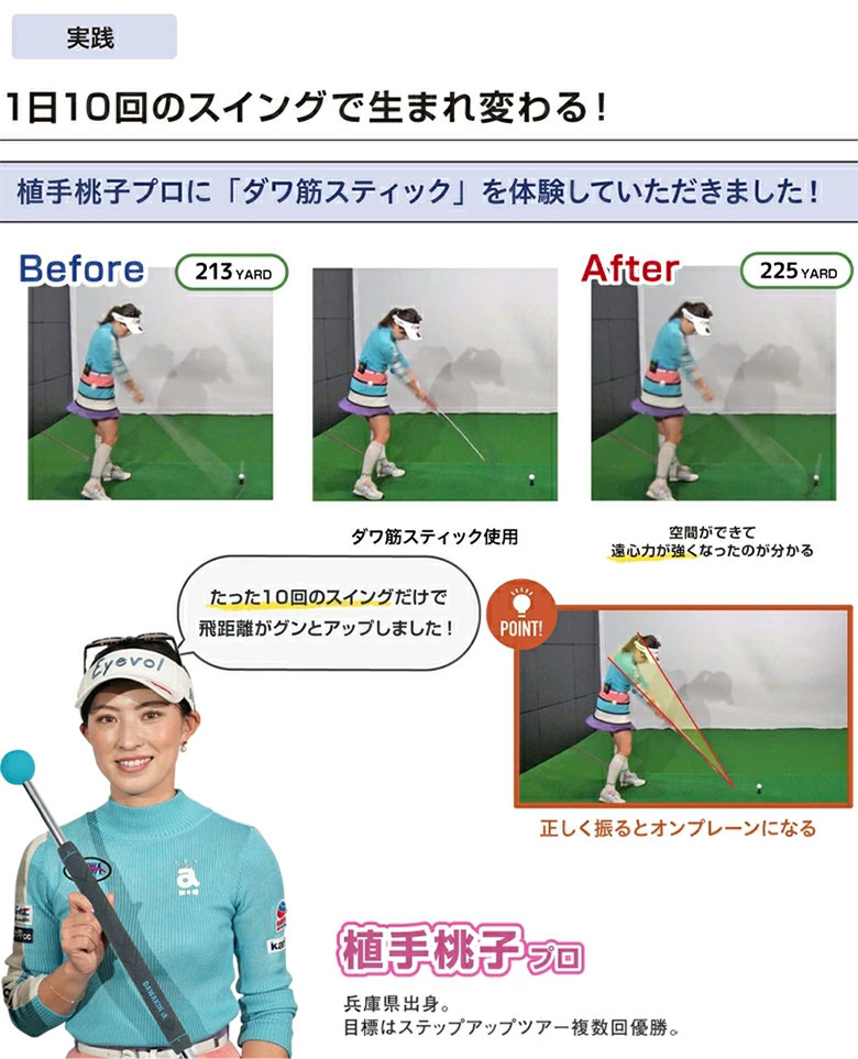 リンクス　ダワキンスティック