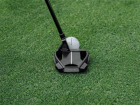 テーラーメイド　パター