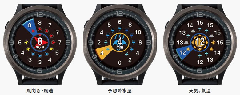 イーグルビジョン GPSナビ