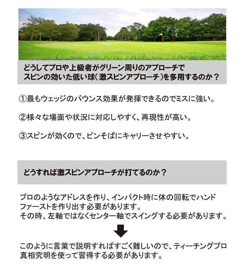 リンクス　スイング練習器具