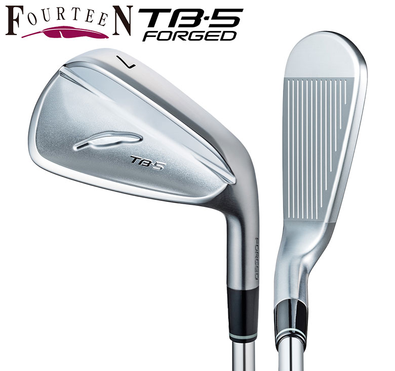 フォーティーン 単品アイアン